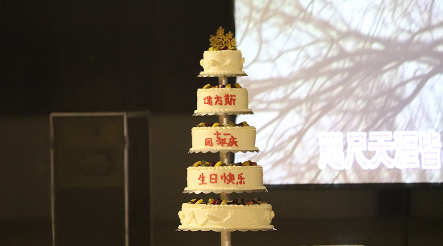 湖南合成石廠家，合成石，耐高溫合成石，合成石碳纖維板，湖南諾方斯新材料