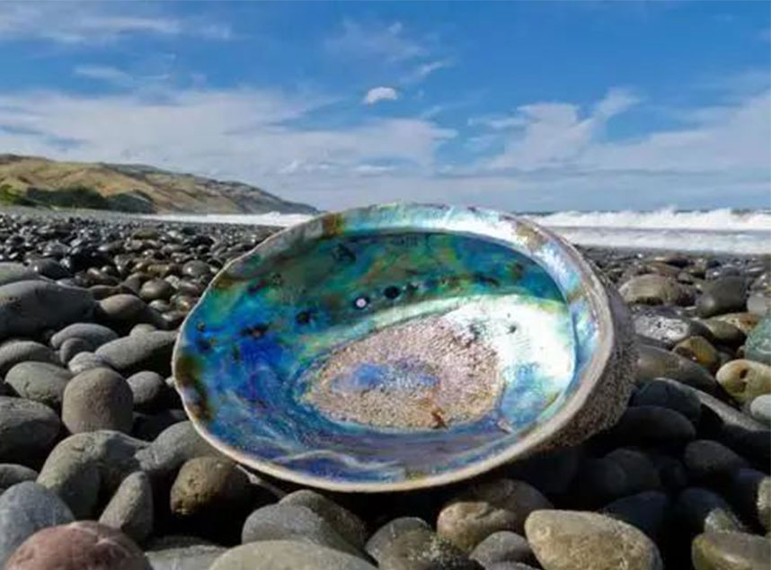 合成石廠家,電木板廠家,玻纖板廠家,隔熱板廠家,復合材料廠就,諾方斯 合成石廠家,電木板廠家,玻纖板廠家,隔熱板廠家,復合材料廠就,諾方斯